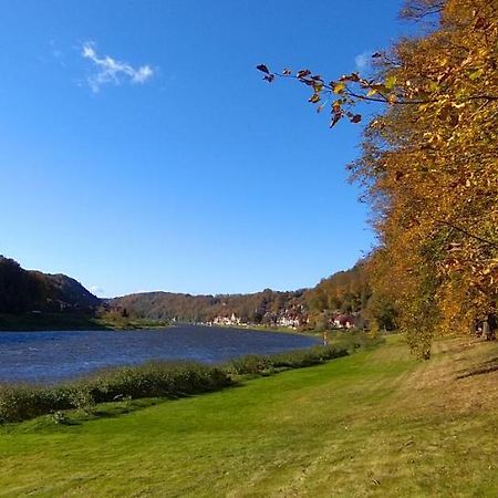 Ferienwohnung An Der Elbe ชตัดท์เวเลิน ภายนอก รูปภาพ
