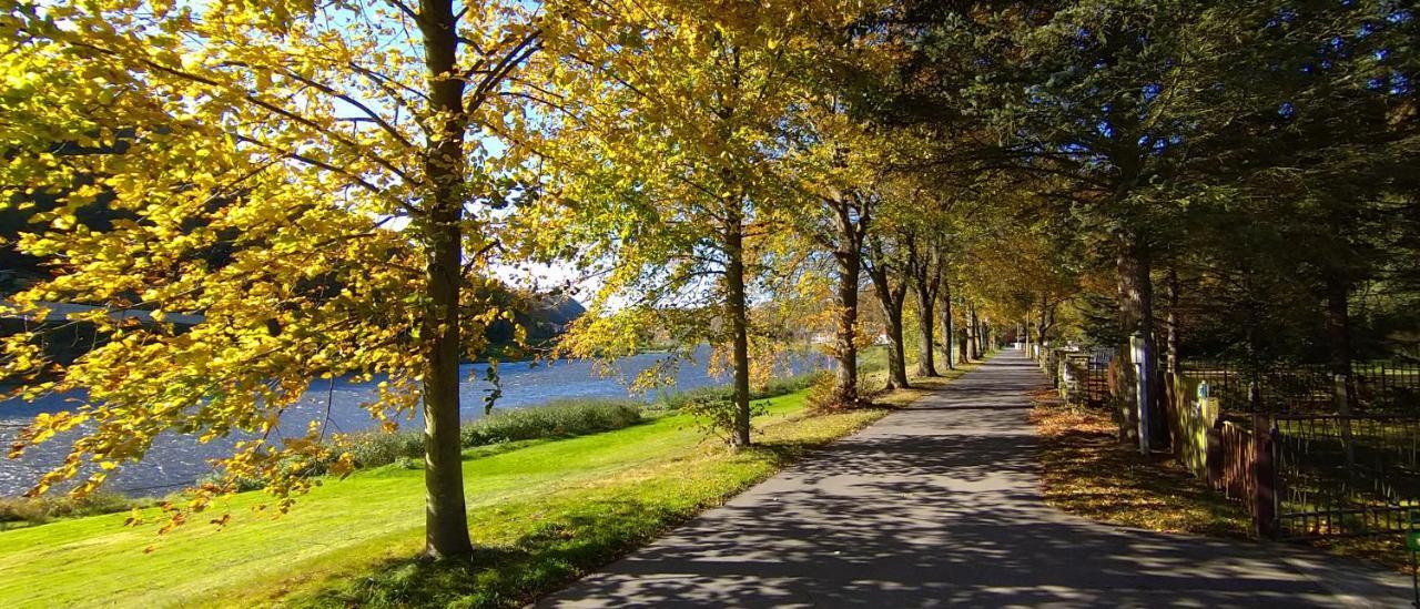 Ferienwohnung An Der Elbe ชตัดท์เวเลิน ภายนอก รูปภาพ