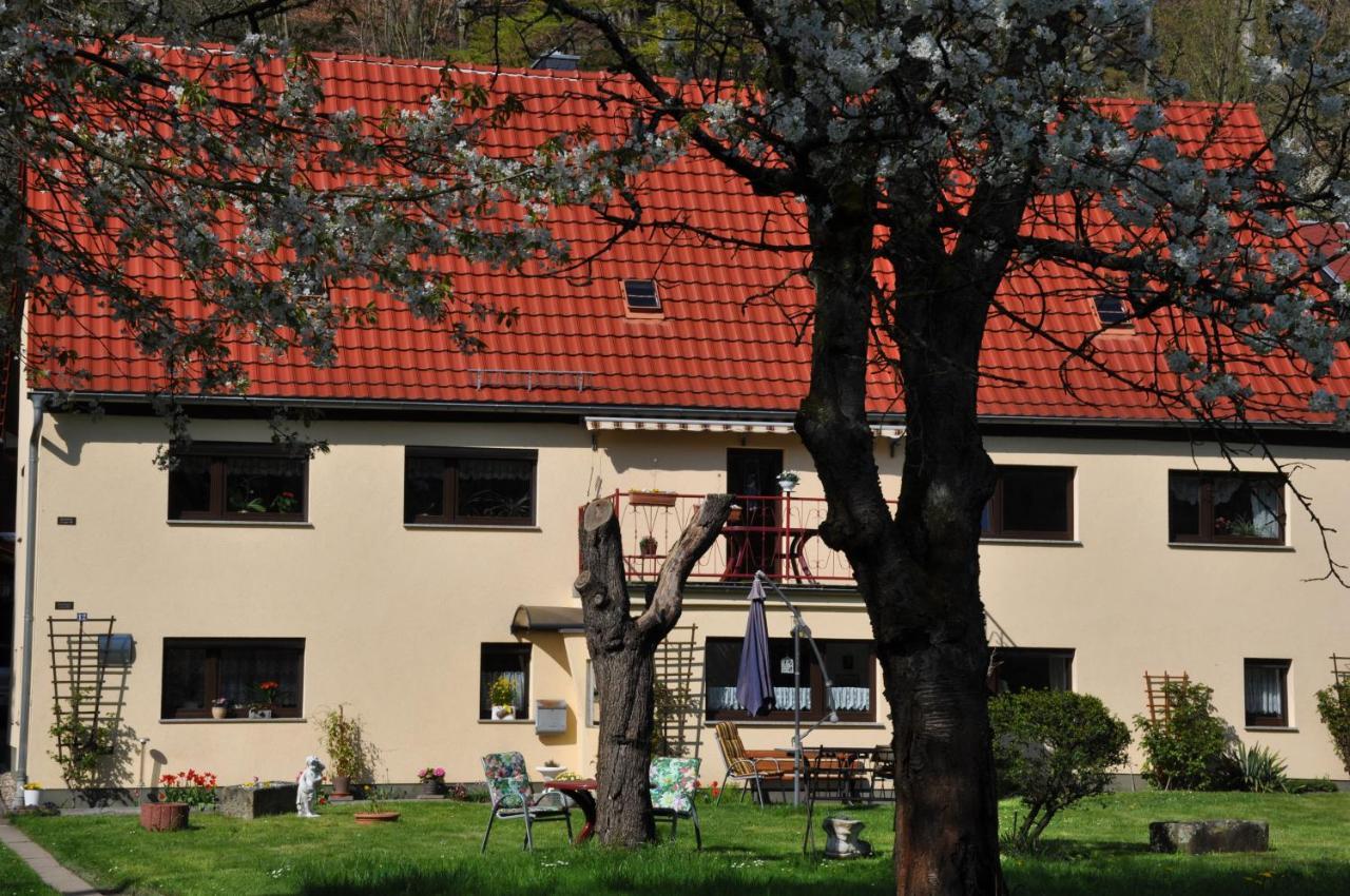 Ferienwohnung An Der Elbe ชตัดท์เวเลิน ภายนอก รูปภาพ